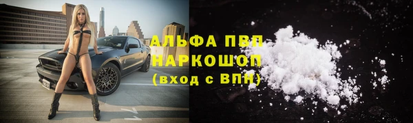 скорость Ельня