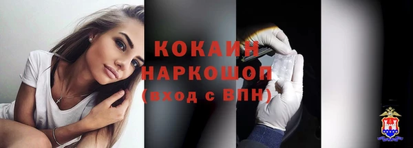 скорость Ельня