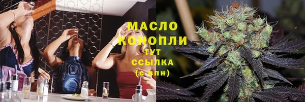 скорость Ельня