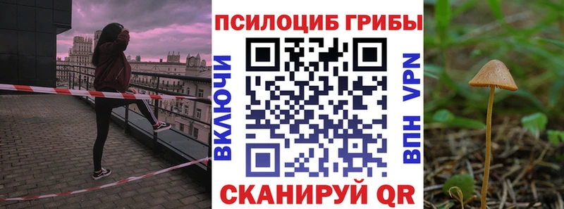 Купить  Красково  Псилоцибиновые грибы ЛСД 