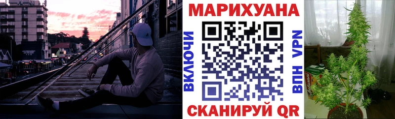 Конопля сатива  Купить где  Красково 